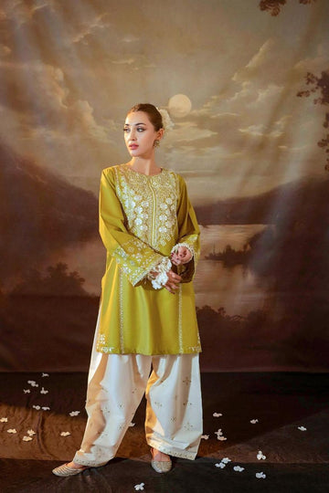 URJH new design Fabric lawn. v1